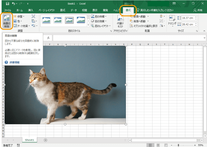書式タブの背景の削除をクリック