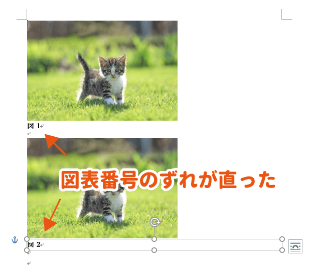 図表番号のずれが直った